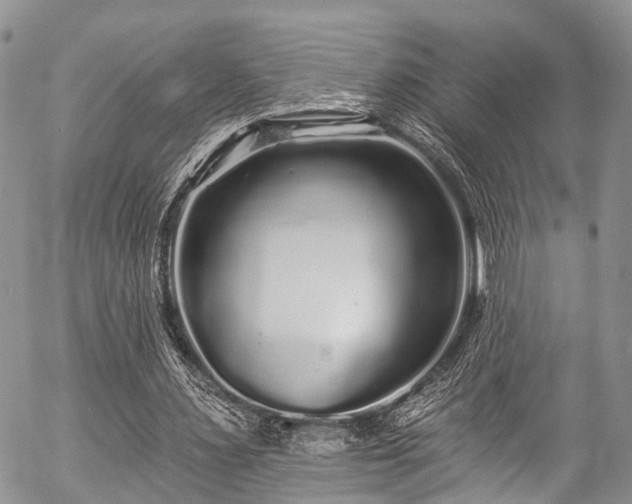 X0000057090483200509120923