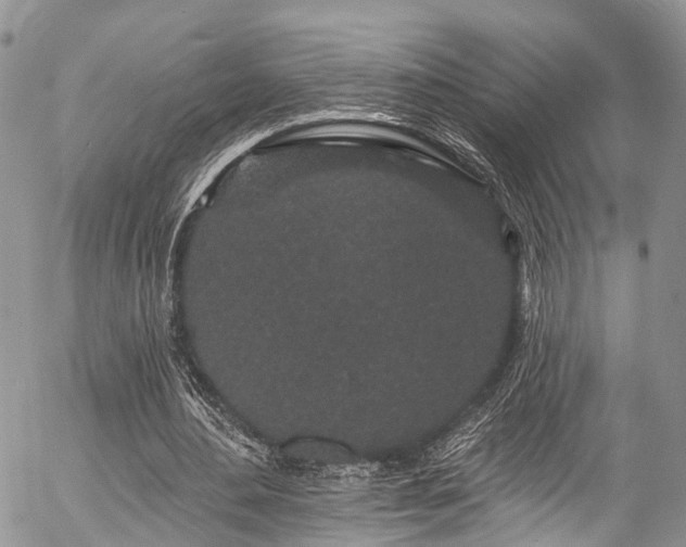 X0000057090484200509120923