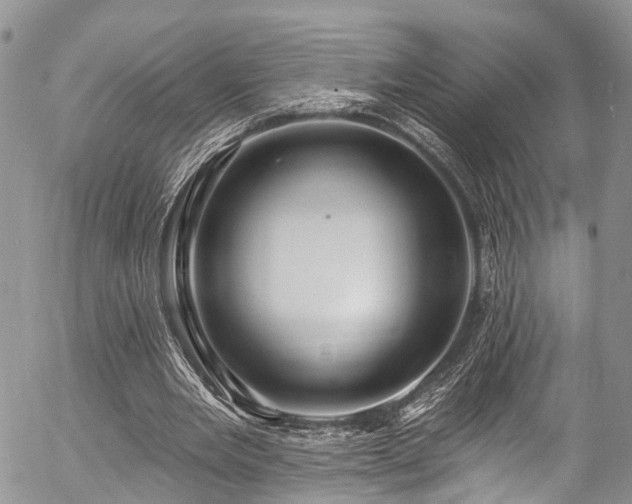 X0000057090485200509120923