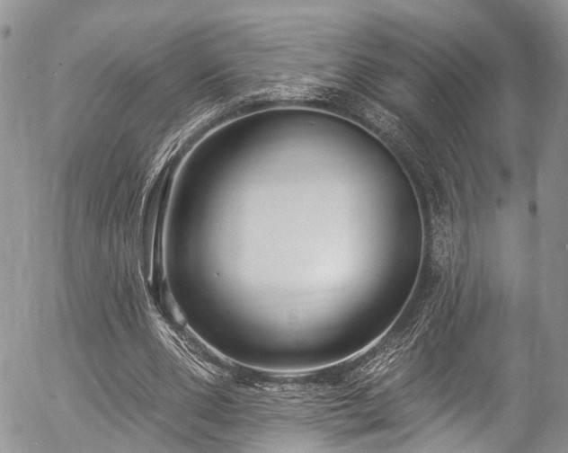 X0000057090486200509120923