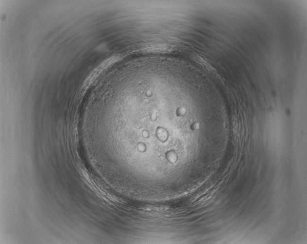 X0000057090487200509120923