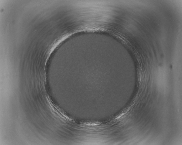 X0000057090488200509120923