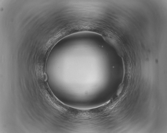 X0000057090489200509120923