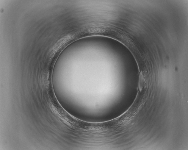 X0000057090490200509120923