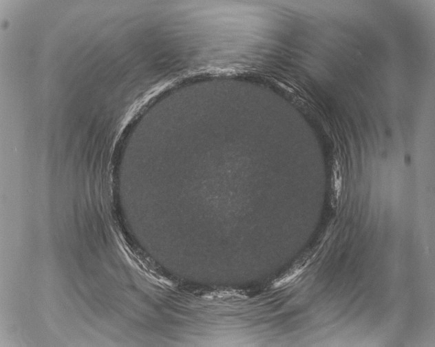 X0000057090492200509120923