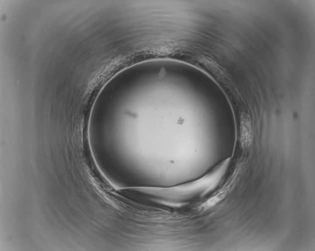 X0000057090493200509120923