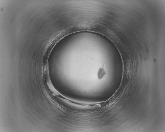 X0000057090494200509120923