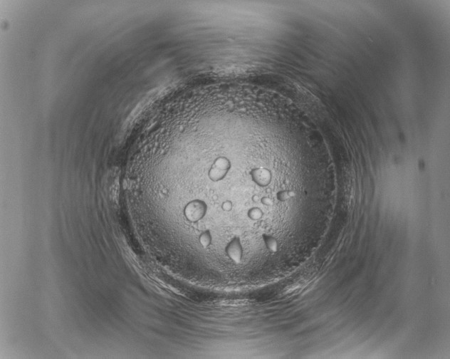 X0000057090495200509120923