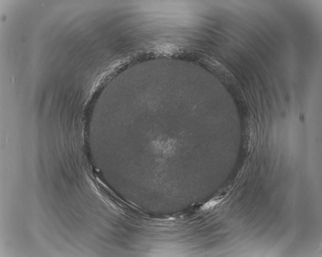 X0000057090496200509120923