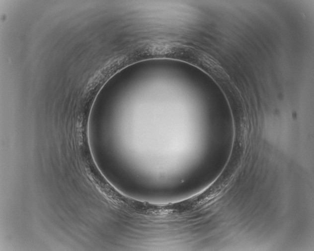 X0000057090497200509120923