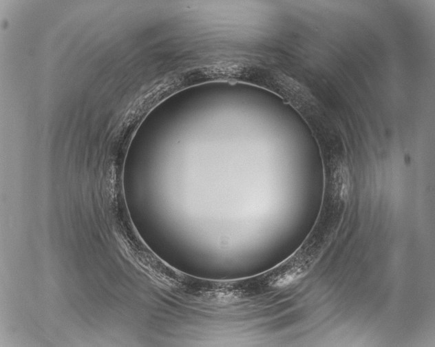 X0000057090498200509120923