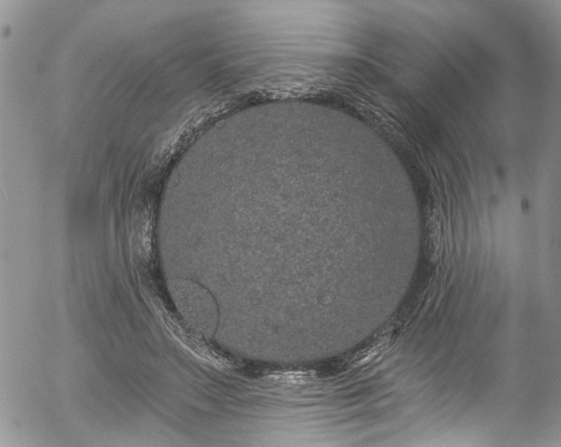 X0000057090499200509120922