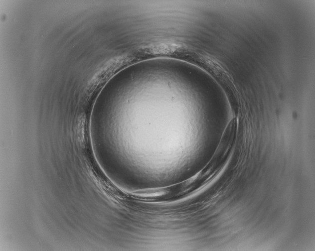 X0000057090501200509120922