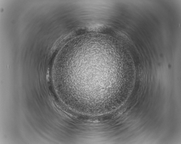 X0000057090502200509120922