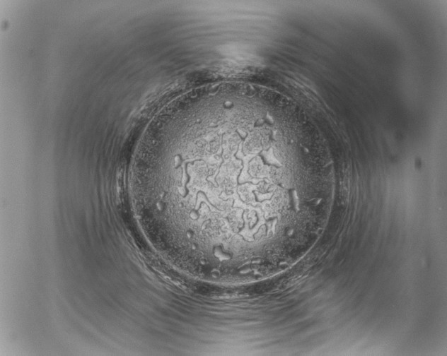 X0000057090503200509120922