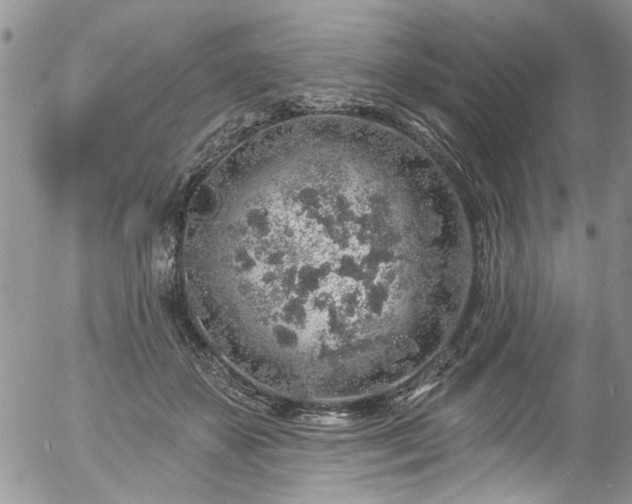 X0000057090507200509120922