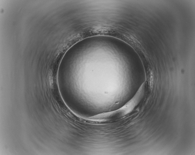 X0000057090508200509120922