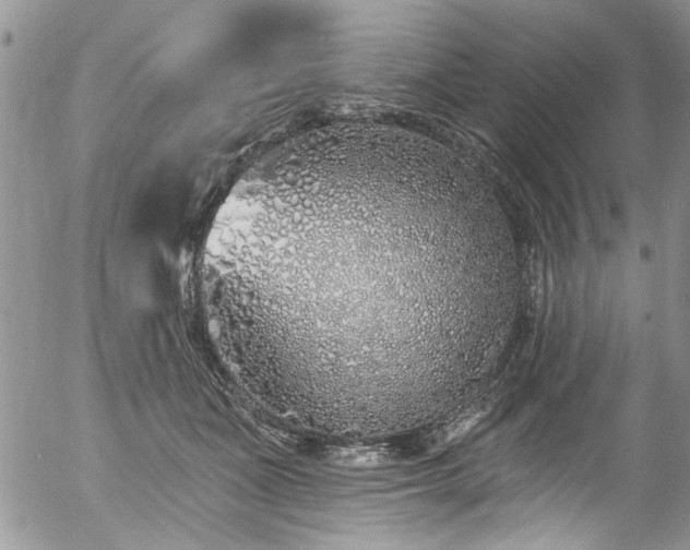 X0000057090511200509120922