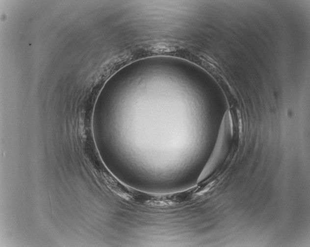 X0000057090512200509120922