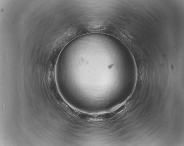 X0000057090515200509120922