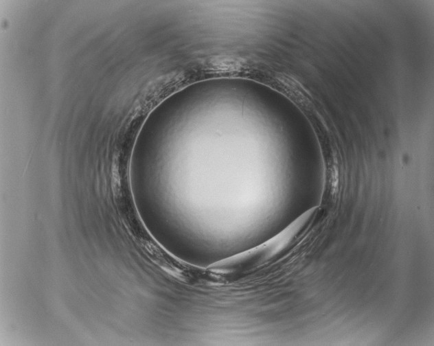 X0000057090516200509120922