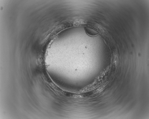 X0000057090519200509120922