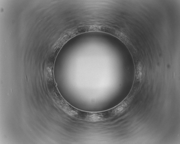 X0000057090522200509120922