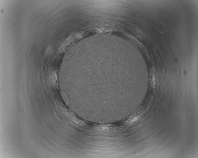 X0000057090523200509120922