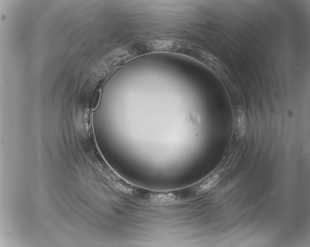 X0000057090525200509120922