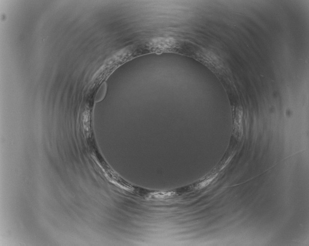 X0000057090526200509120922