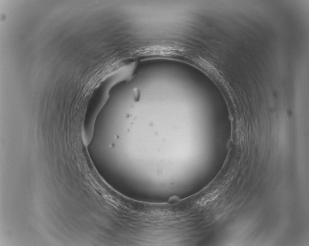 X0000057090529200509120921