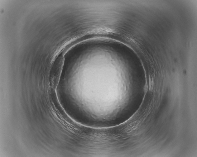 X0000057090531200509120921