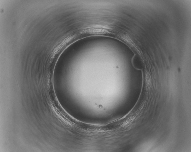 X0000057090533200509120921