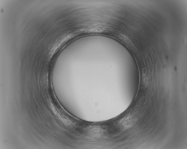 X0000057090534200509120921