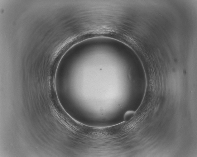 X0000057090535200509120921