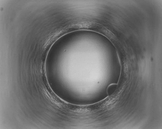 X0000057090537200509120921