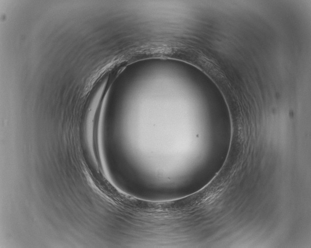 X0000057090538200509120921