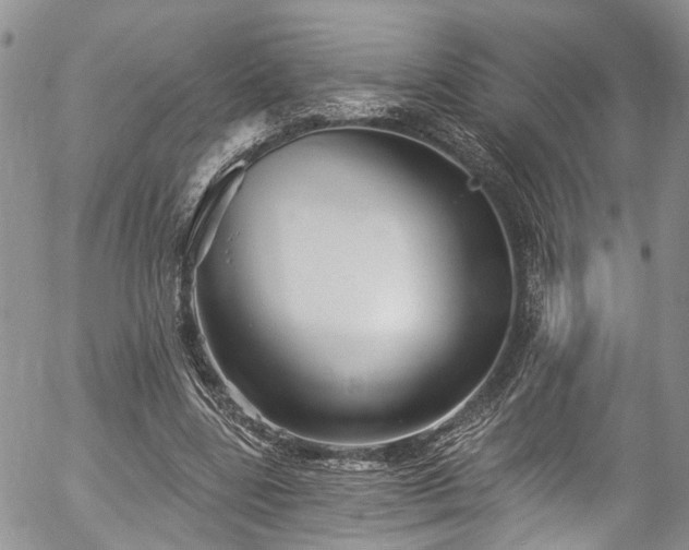 X0000057090539200509120921