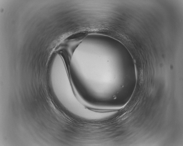 X0000057090540200509120921