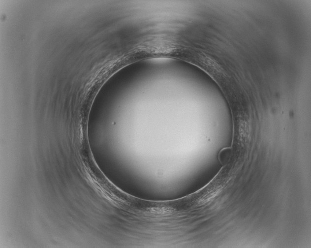 X0000057090541200509120921