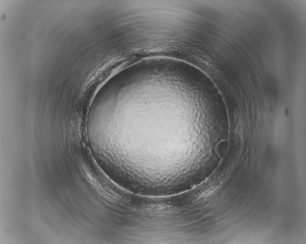 X0000057090542200509120921