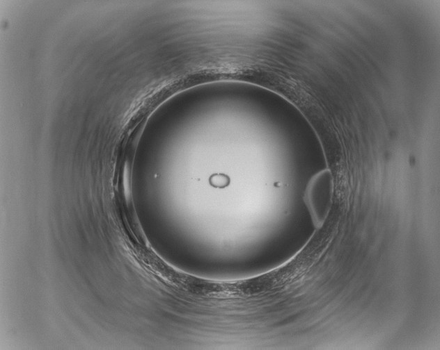 X0000057090544200509120921