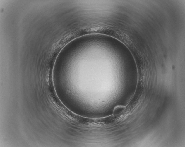 X0000057090545200509120921