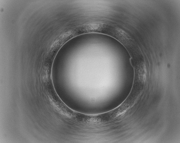 X0000057090546200509120922