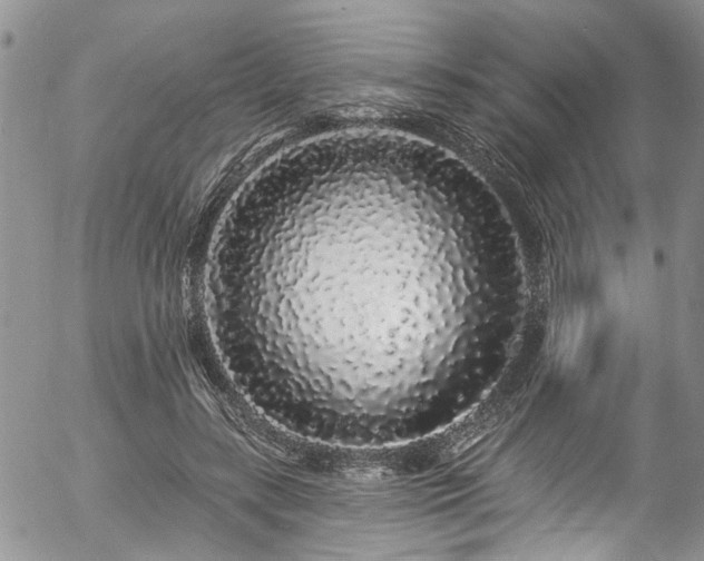 X0000057090547200509120922