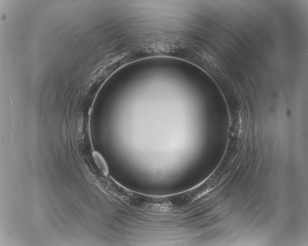 X0000057090548200509120922