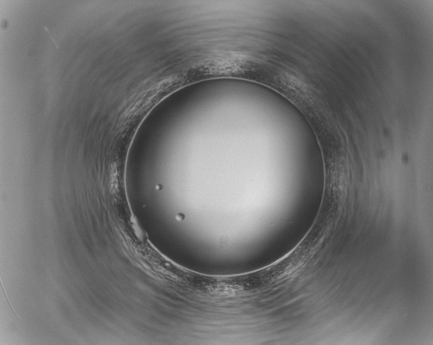 X0000057090549200509120922