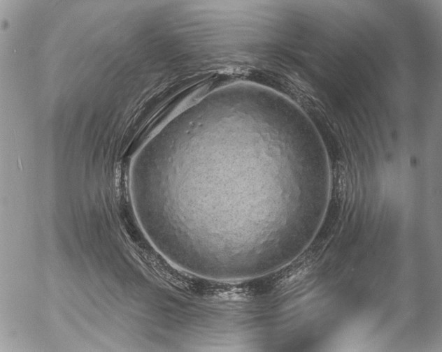 X0000057090550200509120922