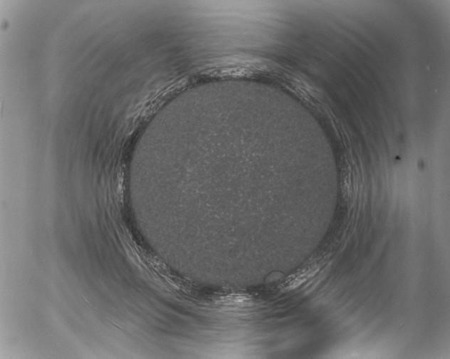 X0000057090551200509120922