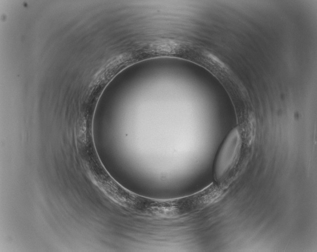 X0000057090552200509120922